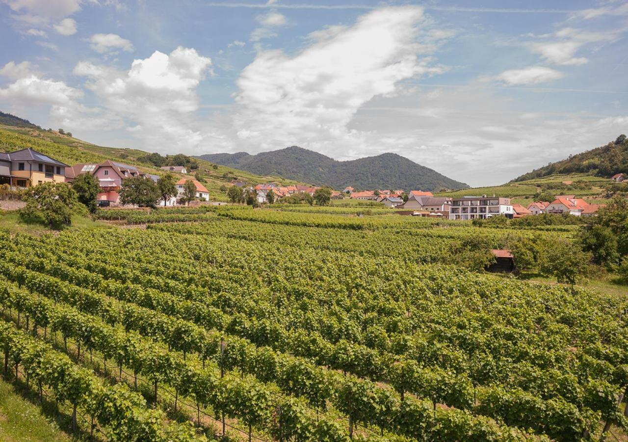 Stierschneider'S Weinhotel Wachau & Wiazhaus Spitz an der Donau Eksteriør billede